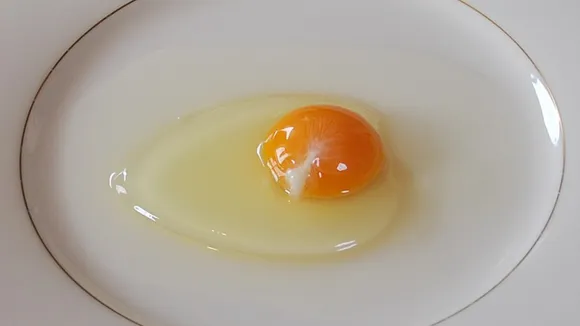 Egg White Protein: जानें इसे बनाने की ये 6 आसान रेसिपीज