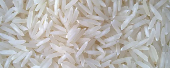 Plastic Rice: प्लास्टिक के चावल तो नहीं खा रहे आप, ऐसे पहचानें