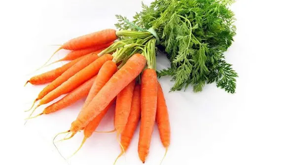 Benefits Of Carrot: जानें गाजर के फायदे, जो आपको पहले नहीं पता होंगे