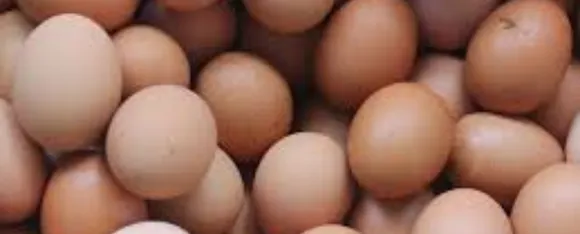Eggs Side Effects:  जानें रोजाना अंडे खाने के 5 साइड इफेक्ट