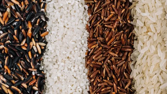 Rice Benefits: जानिए ब्राउन, ब्लैक, व्हाइट या रेड राइस के फायदे