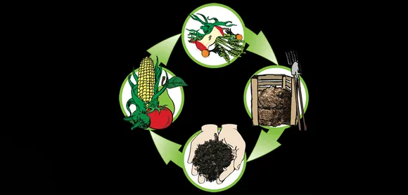 Importance of Composting in Bar  Business