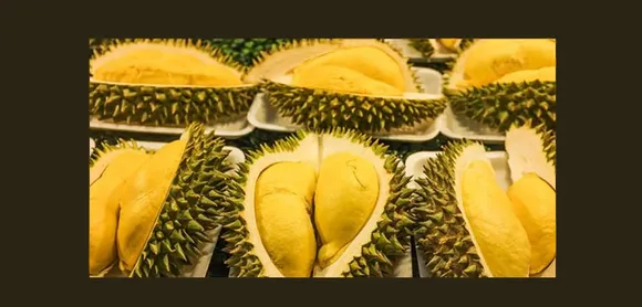 The King of Fruits - Durian