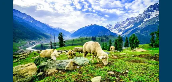 Kashmir-Of-India