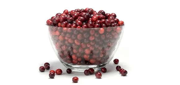 US Cranberries-Most Loved Superfruit Around the World