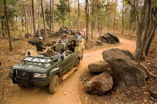 This World Wildlife Day, Discover The Secrets Of The Jungle With Taj Safaris