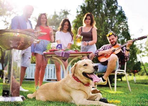 Enjoy a ‘Petnic’ Carnival for Your Fur Buddies and Family at Novotel Hyderabad Airport