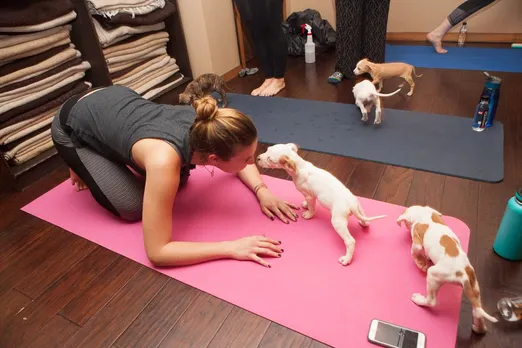 International Yoga Day Special - Pawga at Justbe Resto Cafe 