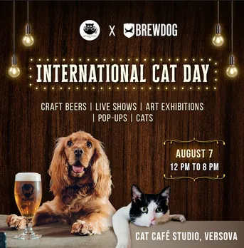 <strong>BrewDog is all set to celebrate International Cat Day with Cat Cafe Studio </strong><strong><em>A first-of-its-kind fun beery pop-up festival celebrating feline friends </em></strong>