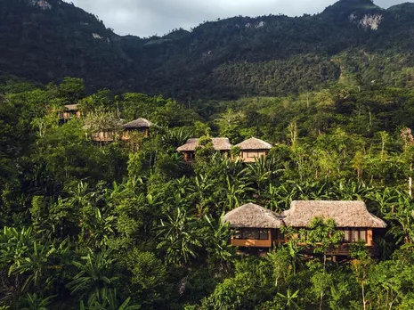 Avana Retreat Takes Going Green Literally By Planting 10,000 Trees