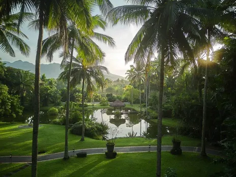 The Farm at San Benito Celebrates The Healing Green Season