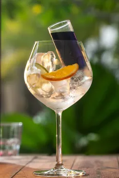 Sip and savour this festive season with Hyatt Centric's 'Gin and Tonic Festival' – A Culinary Journey of Flavors