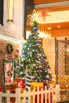 Sheraton Hotel Hyderabad Sparkles With Annual Tree Lighting Ceremony