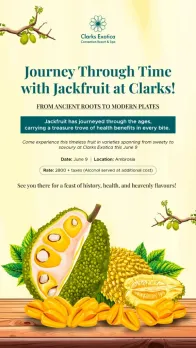 Journey Through Time with Jackfruit at Clarks!