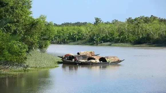 Sundarbans,South 24 Parganas,camera,cyclone, সুন্দরবন,ক্যামেরা,দক্ষিণ ২৪ পরগনা, ঘূর্ণিঝড়