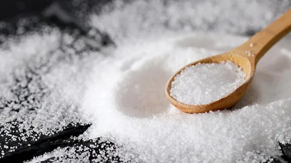 Health Impacts of Salt Deficiency: একমাস টানা নুন না খেলে কী হতে পারে শরীরে?