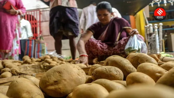 Potato Price Hike, Potato Supply Crisis: আর পাতে পড়বে না আলু?