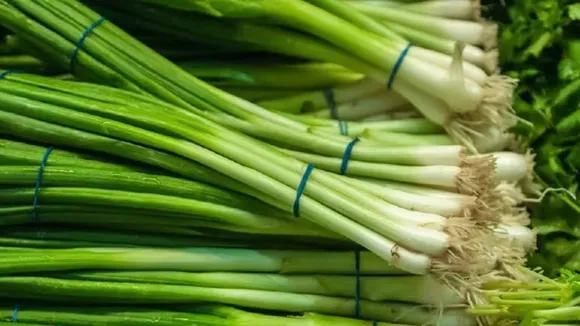 Spring Onion Benefits: পেঁয়াজকলির অনেক গুণ রয়েছে