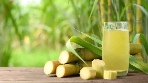 Sugarcane Juice: আখ দিয়ে হাইড্রেটিং জ্যুস বানাতে পারেন