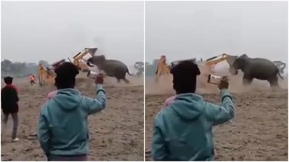 Elephant vs Bulldozer: যন্ত্র বনাম বন্য জন্তুর লড়াইয়ের ভিডিও ভাইরাল সোশ্যাল মিডিয়ায়