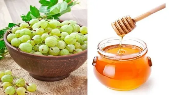 Amla and Honey Benefits: আপনার প্রতিদিন এক চামচ আমলকি এবং মধুর মিশ্রণ খাওয়া উচিত