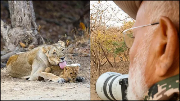 Let's Safeguard Wildlife For Future Generations: PM Modi