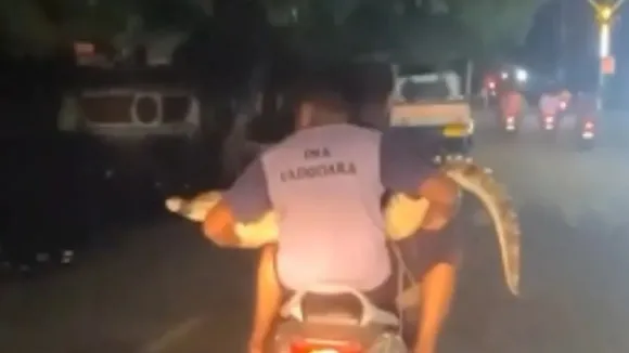 two young on a scooter with giant crocodile viral video