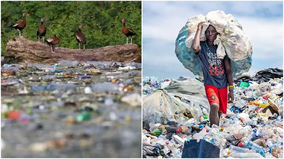 Plastics, pollution, প্লাস্টিক, পলিউশন,