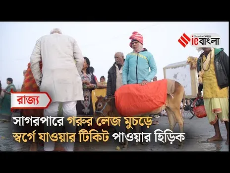 Gangasagar Mela 2025: গঙ্গাসাগরে গরুর লেজ ধরেই টিকিট মিলছে স্বর্গের ll ieBangla
