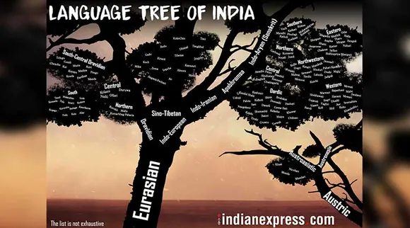 language-tree_759