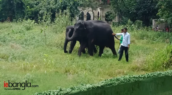 alipore zoo, আলিপুর চিড়িয়াখানা