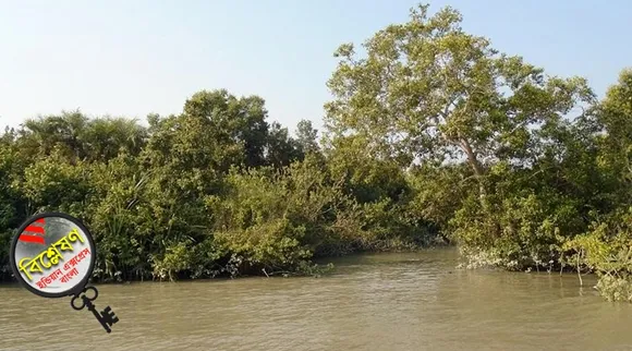 sundarbans world environment day