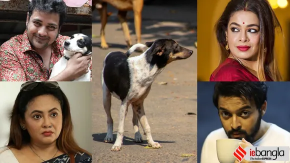 Stray Dog lovers are being attacked, Pet lovers, animal lovers, Kolkata News, Sreelekha Mitra, Iman Chakraborty, Sourav Das, Ditipriya Roy, Rupsa, আক্রান্ত পশুপ্রেমীরা, পথকুকুর, আক্রান্ত পথকুকুর, শ্রীলেখা মিত্র, ইমন চক্রবর্তী, রূপসা, দিতিপ্রিয়া রায়, সৌরভ দাস, তথাগত মুখোপাধ্যায়, kolkata news. bengali news today