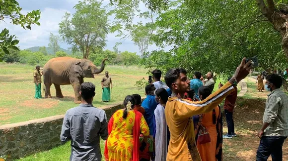 Vandalur Zoo shut as 80 employees test positive for Covid-19