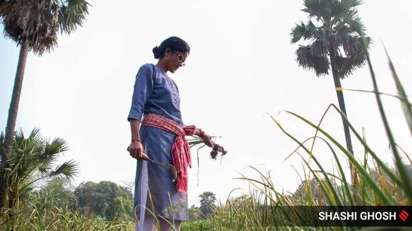 women farmer in murshidabad, university dropout, made crops, an inspiration