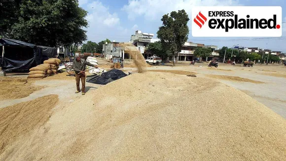 Wheat Procurement