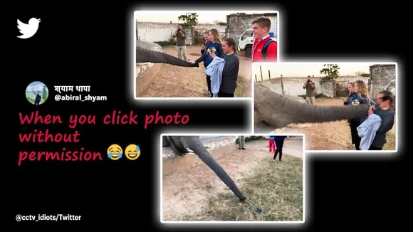 Elephant hits girl with its trunk
