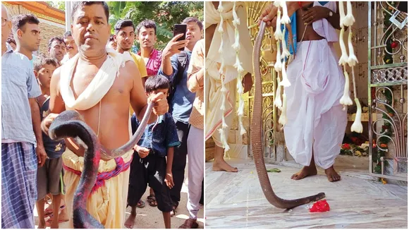 snakes are worshiped as goddesses in several villages of East Burdwan