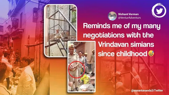 Mathura DM Naveen Chahal, Monkey steals DM’s specs in Vrindavan, Video monkey steal district magistrate’s glasses, Monkey in Vrindavan take DM’s glasses, Viral video monkey take away officer’s specs, Indian express