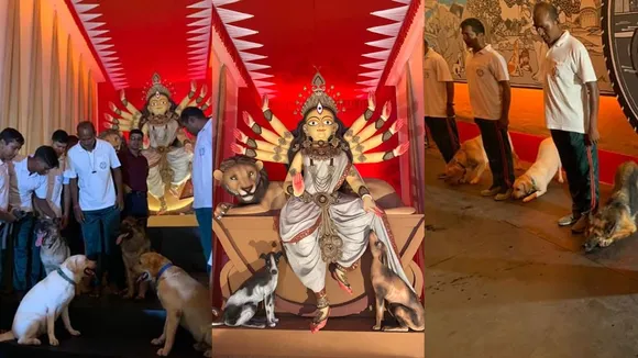 Durga Puja 2022, Durga Puja, pet friendly durga puja pandal, pet friendly durga puja, kolkata durga puja, festival for all, দুর্গা পুজো, দুর্গা পূজা, দুর্গা পুজো ২০২২, দুর্গা পুজো, কলকাতার দুর্গা পুজো, পোষ্য-বান্ধব দুর্গা পুজো