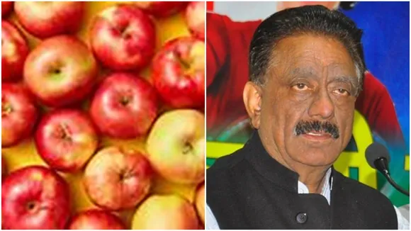 Apple and congress leader