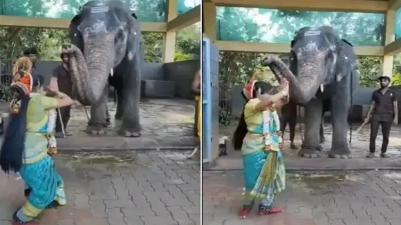 Anand Mahindra,elephant,dancer,video,viral