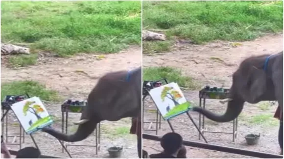 Viral Video of Elephant, Trending Video of Elephant, Amazing Video of Elephant, Shocking Video of Elephant, latest tending Video of Elephant, trending Video of Elephant on twitter, trending Video of Elephant on facebook, trending Video of Elephant on instagram, trending Video of Elephant on youtube
