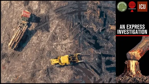 Deforestation Inc, Express investigation, Deforestation, Lutyens bungalows, forest encroachments, Recorded Forest Area, indian express, Express premium"