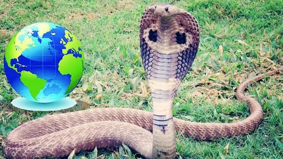 Country Without Snakes in the World