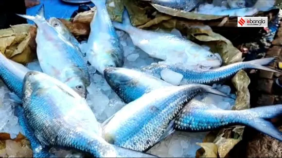 bangladesh will stop exporting hilsa to india