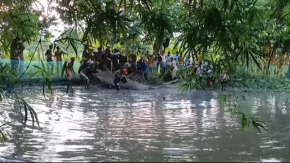 giant crocodile rescue by forest workers at sundarban kakdwip area