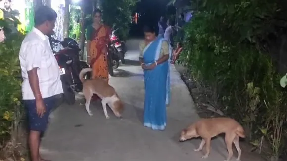 family was attacked while protesting the cruelty against street dogs