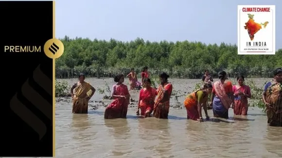 Sundarbans, sundarban mangroves, sundarbans west bengal, climate change in india, Sunderbans Programme, chargeri sundarbans, Purbasha Rural Child Education Centre, sundarbans in danger, un action sundarbans, climate change news, climate change action un, united nations, indian express"