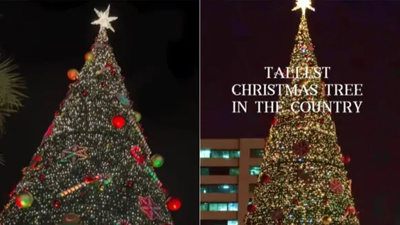 Christmas, Christmas tree, Bengaluru, Phoenix Mall of India, Indias tallest Christmas tree, Bengaluru news, viral news"